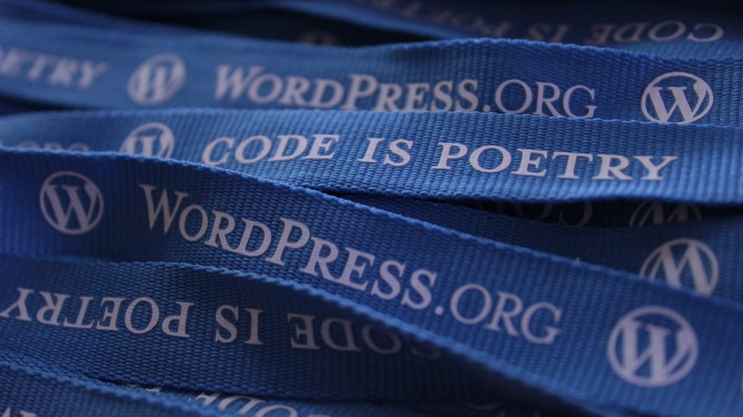 WordPress Errors