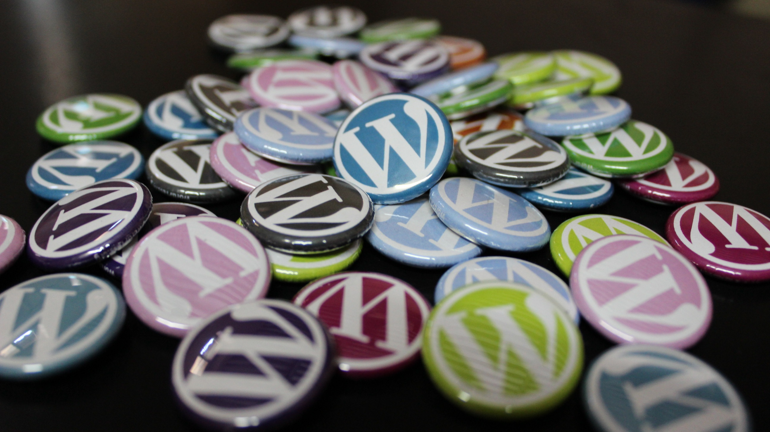 WordPress Error